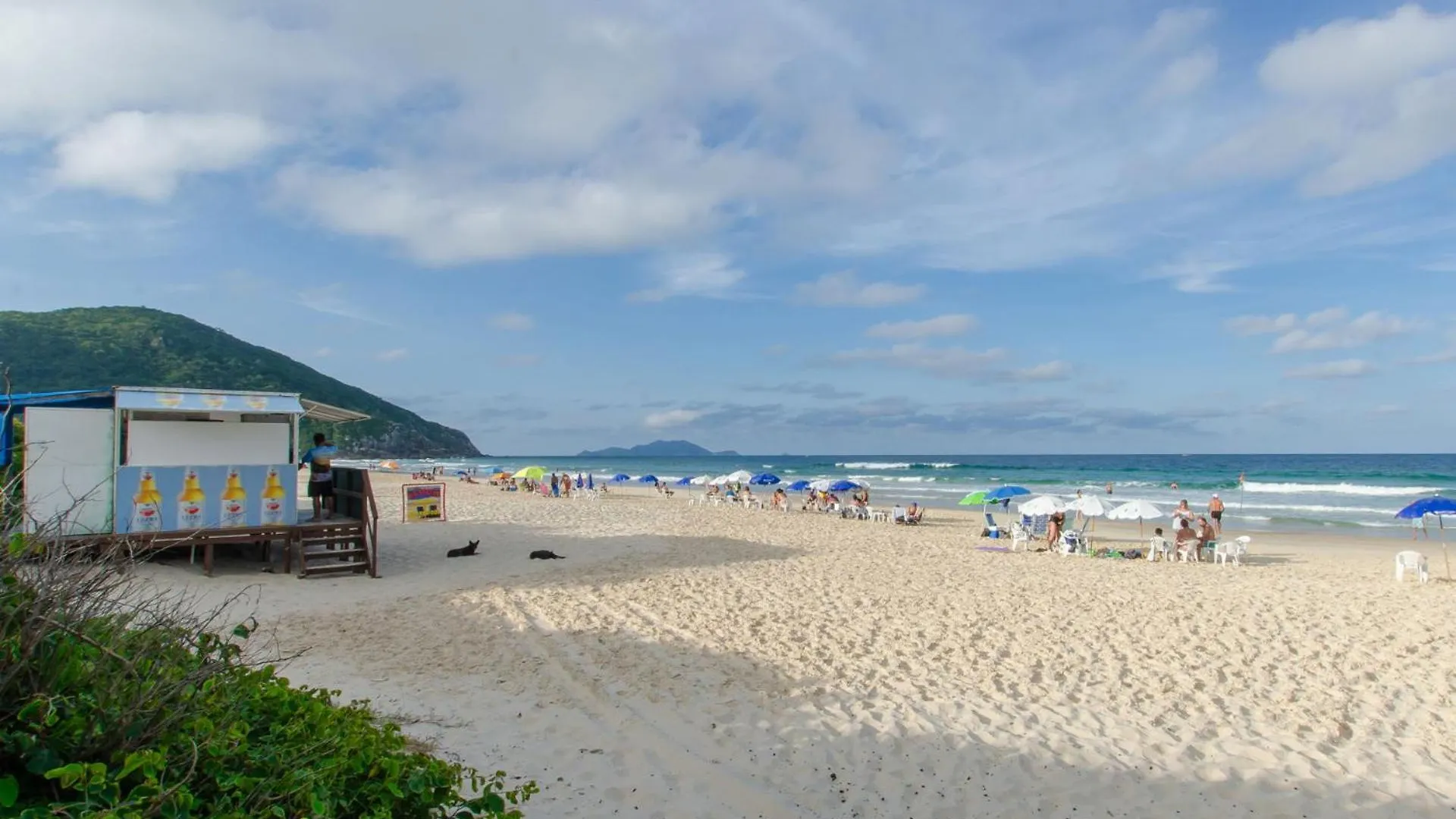 Aconchego Com Piscina A 450M Da Praia Vc1555 Florianópolis 0*,  브라질